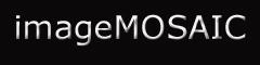 imageMOSAIC